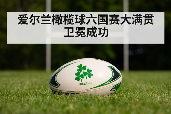 爱尔兰橄榄球六国赛大满贯卫冕成功